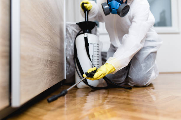 Best Pest Prevention Services  in Upper Lake, CA
