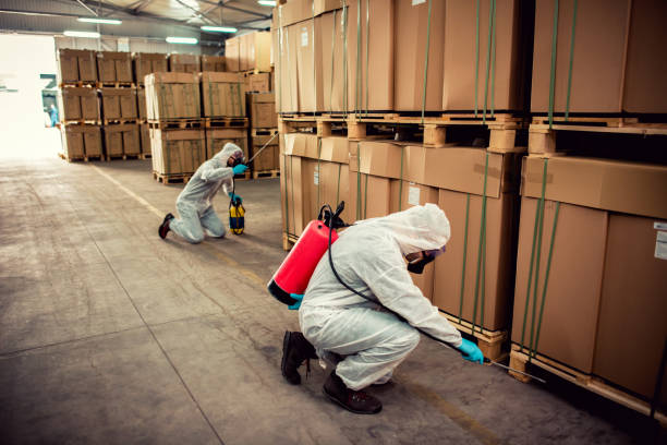 Best Pest Inspection Near Me  in Upper Lake, CA