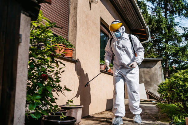 Best Residential Pest Control  in Upper Lake, CA