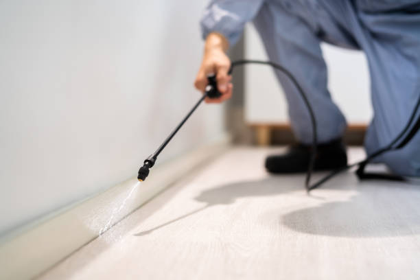 Pest Control Cost in Upper Lake, CA