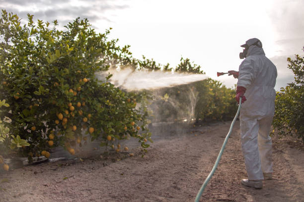 Best Best Pest Control Companies  in Upper Lake, CA