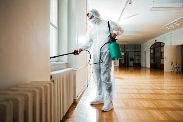 Best Best Pest Control Companies  in Upper Lake, CA
