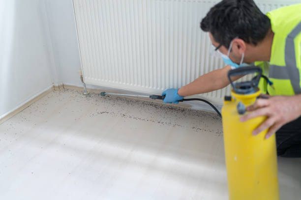 Best Commercial Pest Control Services  in Upper Lake, CA