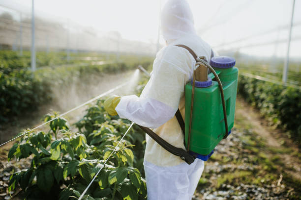 Best Local Pest Control Services  in Upper Lake, CA